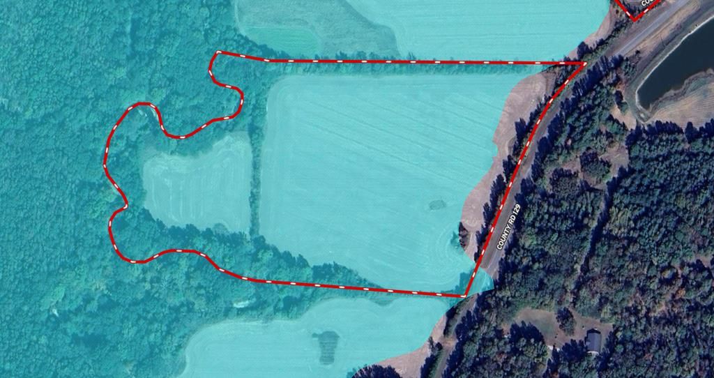 Photo of 20.31 ac County Road 129, COFFEEVILLE, MS 38922 (MLS # 161843)