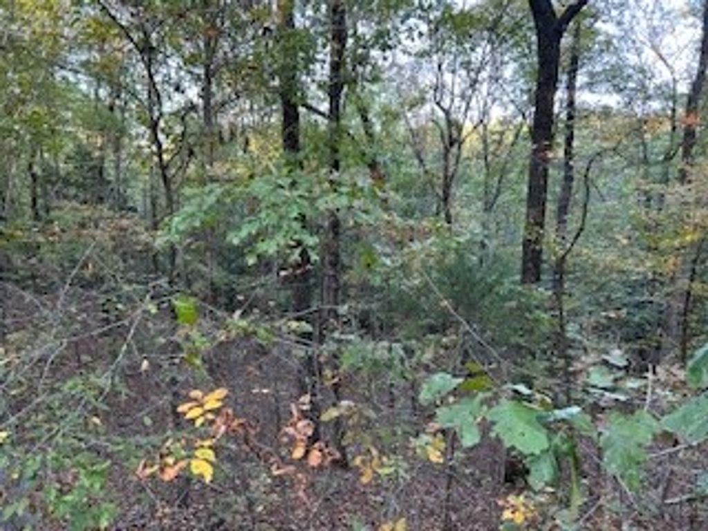 Photo of Tract 6 Cr 369, OXFORD, MS 38655 (MLS # 161982)