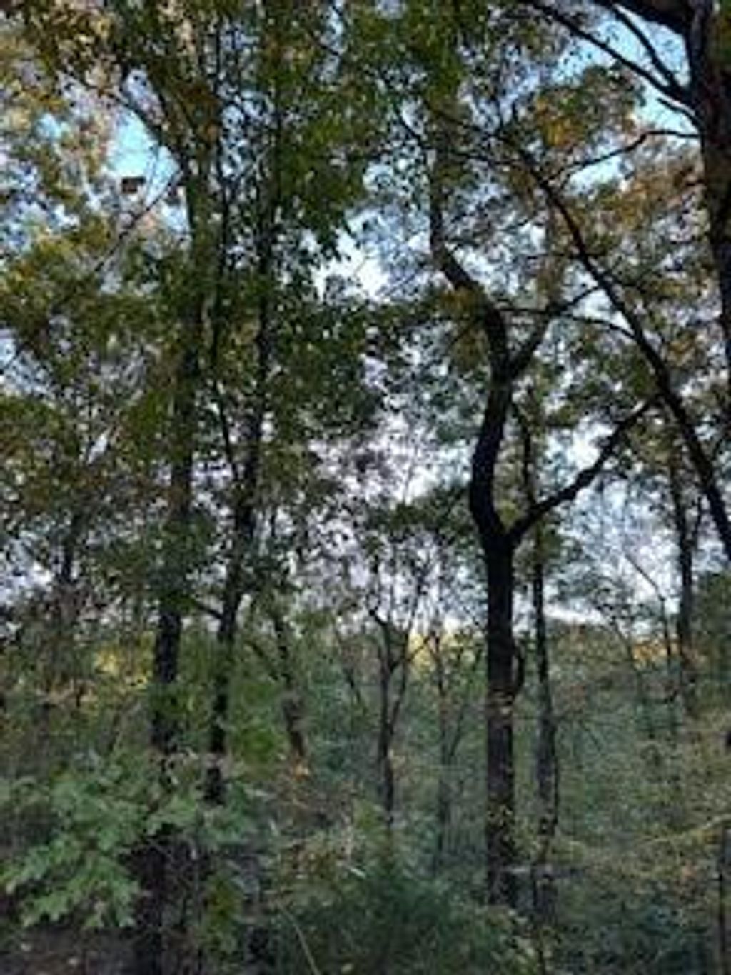Photo of Tract 6 Cr 369, OXFORD, MS 38655 (MLS # 161982)