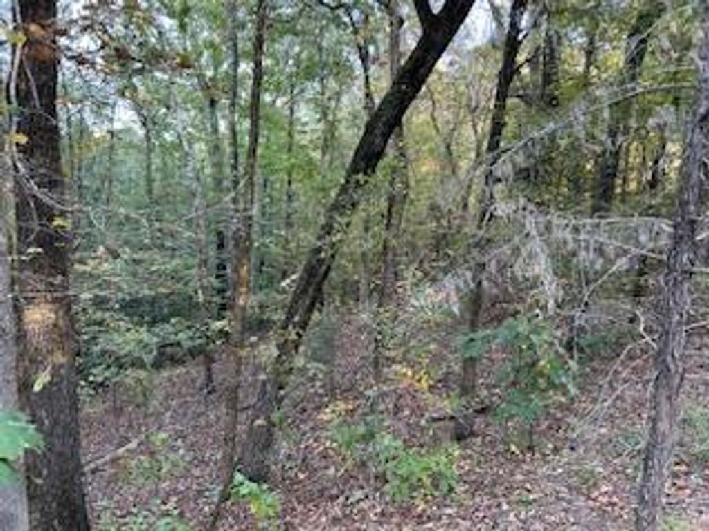 Photo of Tract 6 Cr 369, OXFORD, MS 38655 (MLS # 161982)