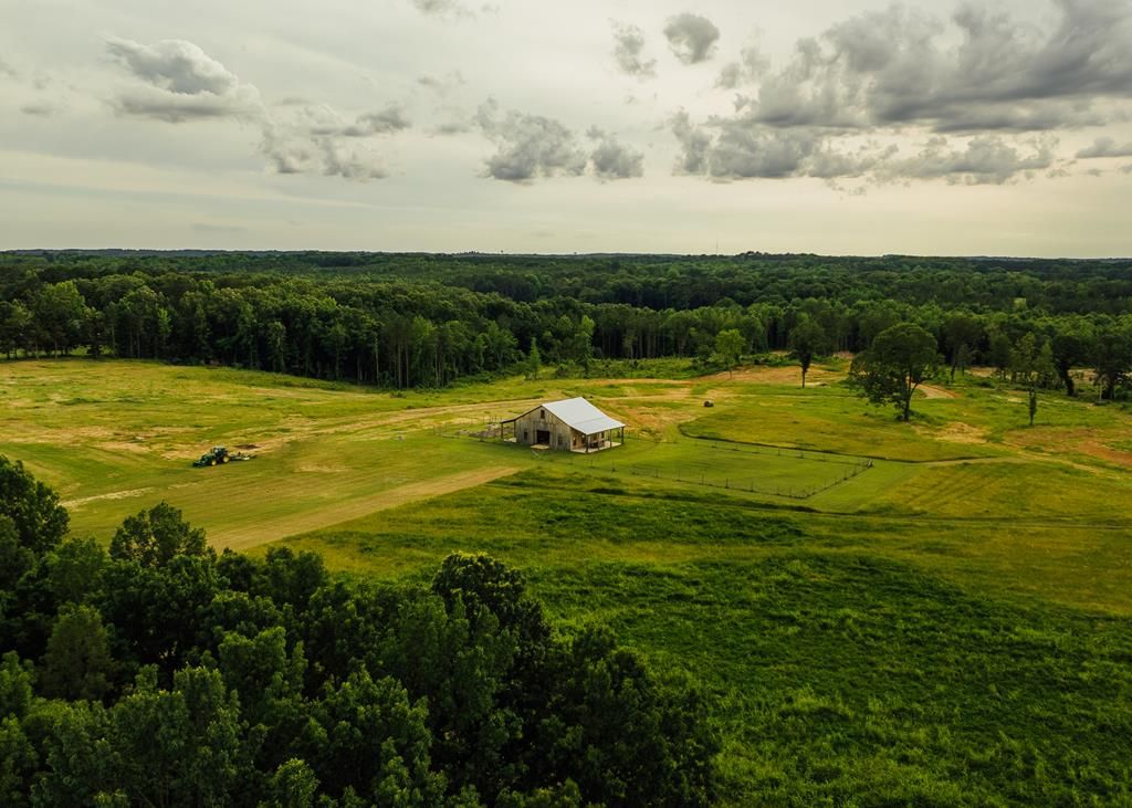 Photo of 447 County Road 215, ABBEVILLE, MS 38601 (MLS # 164742)