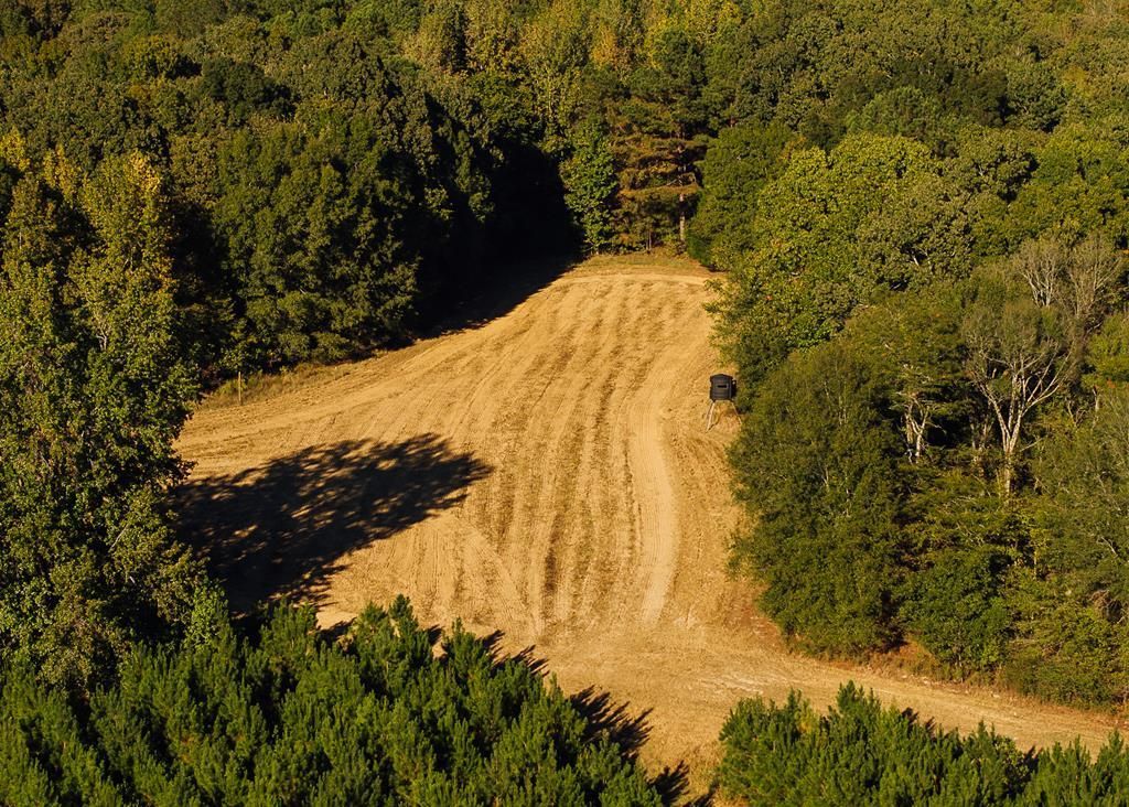 Photo of 1295 Edwards Road, SARDIS, MS 38666 (MLS # 161973)