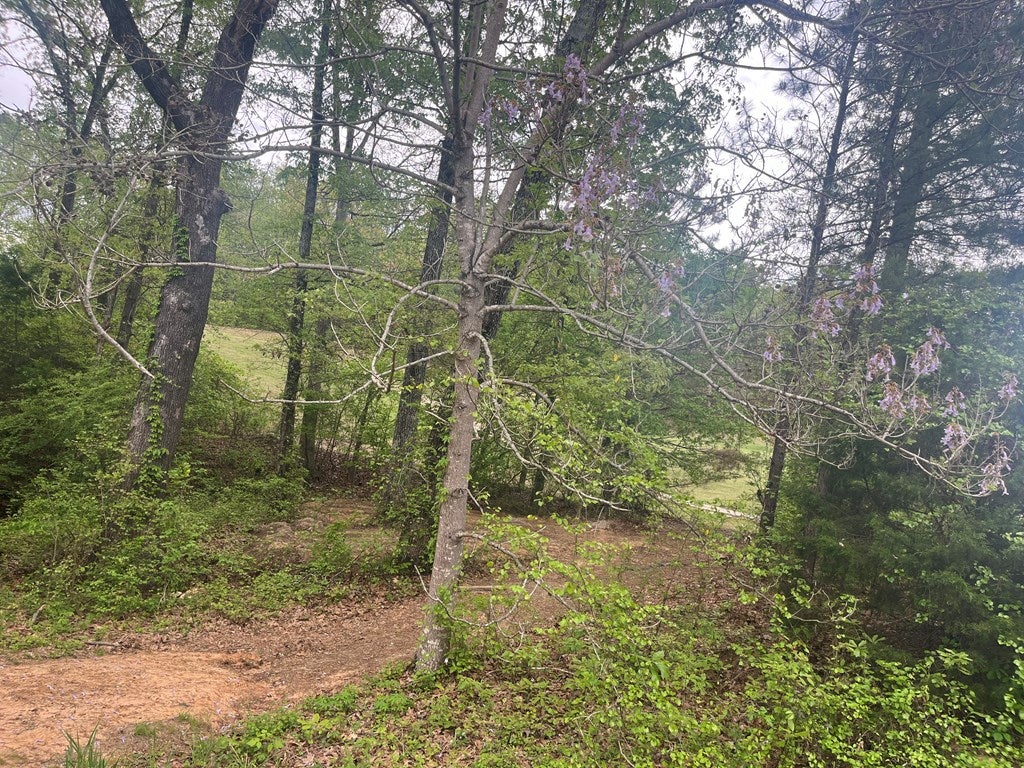 Photo of OXFORD, MS 38655 (MLS # 168607)