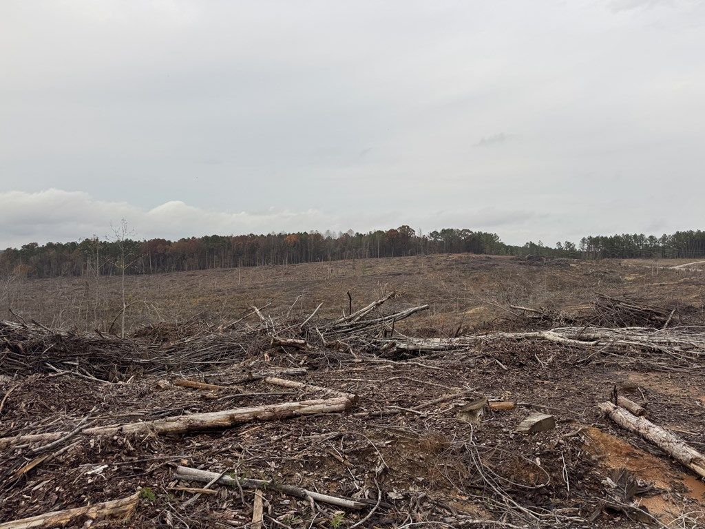 Photo of TBD Cr 442, PARIS, MS 38949 (MLS # 162176)