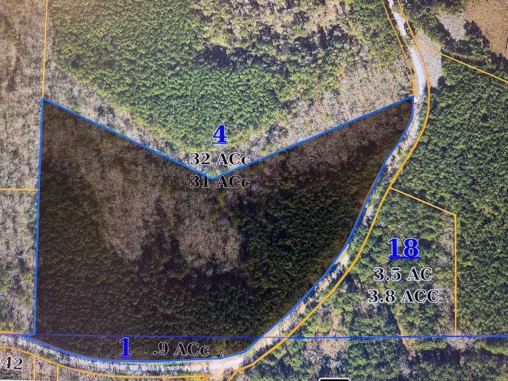 Photo of TBD Cr 442, PARIS, MS 38949 (MLS # 162176)