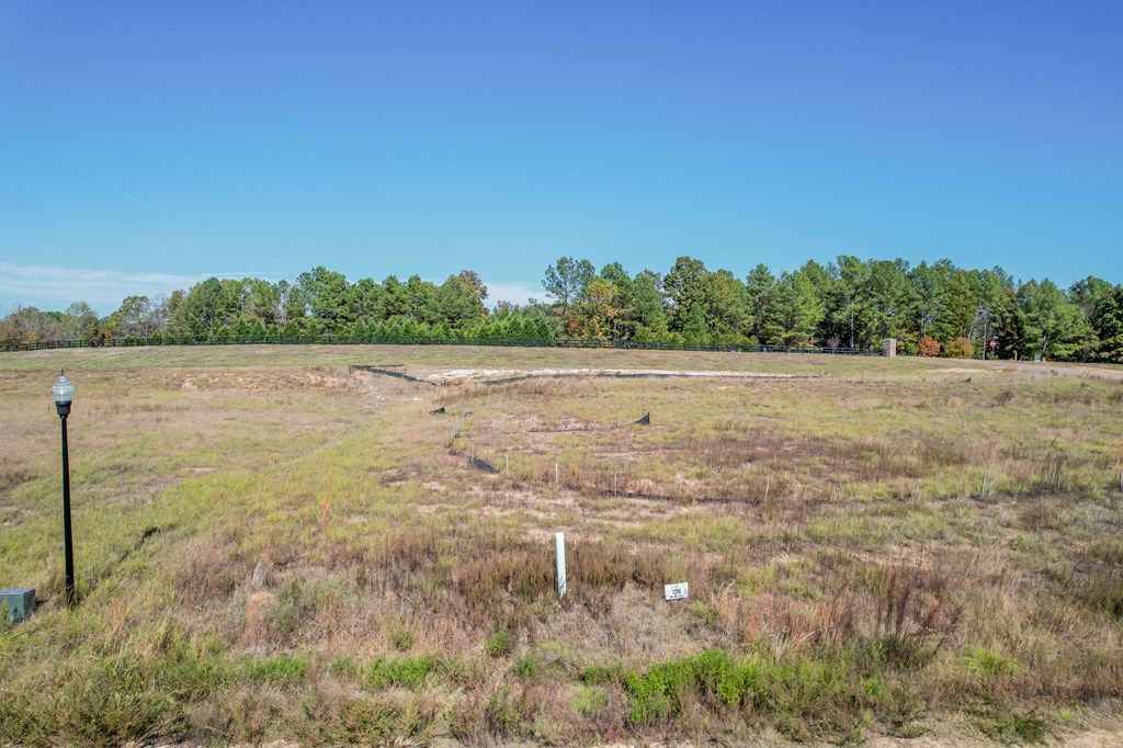 Photo of 810 McCleary Drive, OXFORD, MS 38655 (MLS # 162051)