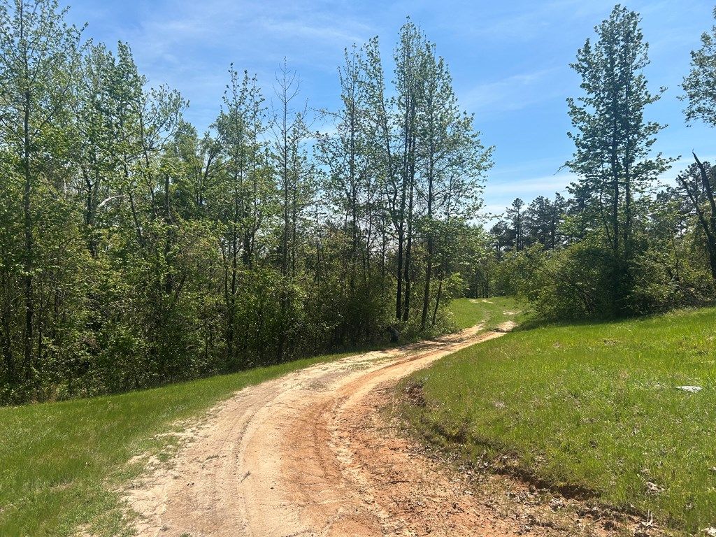 Photo of 00 County Road 379, WATER VALLEY, MS 38965 (MLS # 167217)