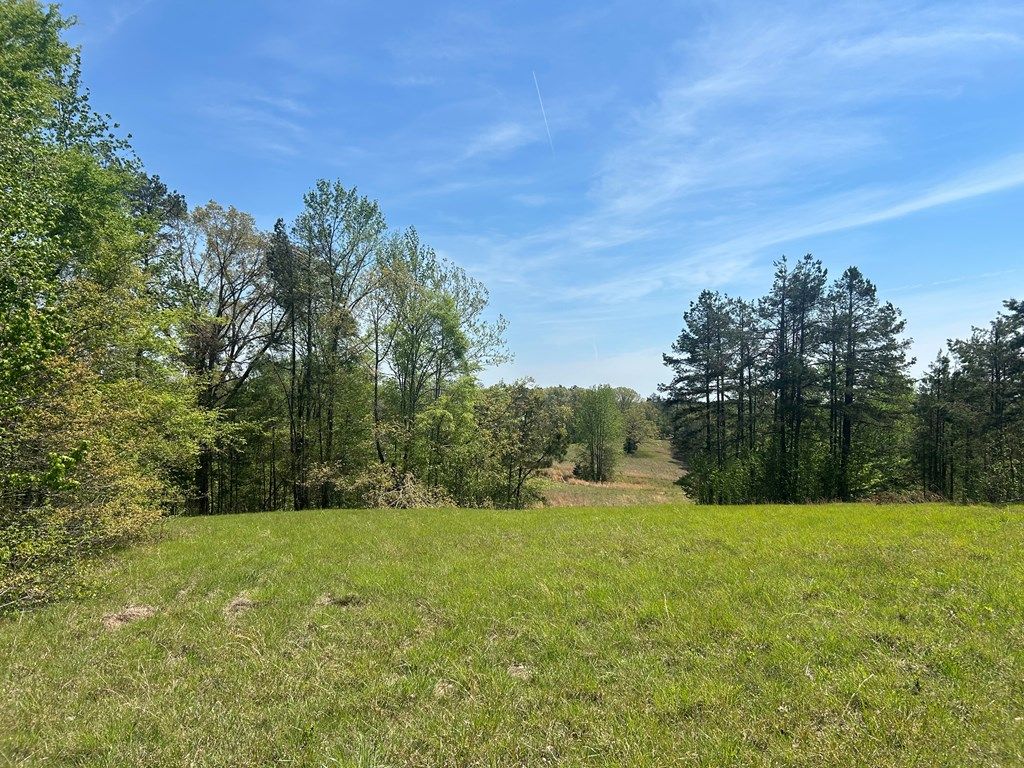 Photo of 00 County Road 379, WATER VALLEY, MS 38965 (MLS # 167217)