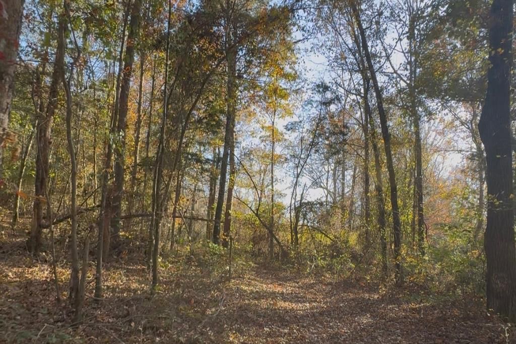Photo of 000 Cr 215, ABBEVILLE, MS 38601 (MLS # 162310)