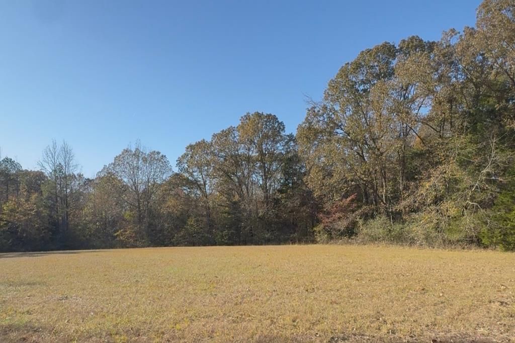 Photo of 000 Cr 215, ABBEVILLE, MS 38601 (MLS # 162310)