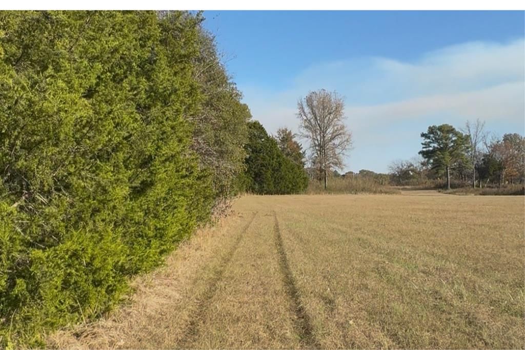 Photo of 000 Cr 215, ABBEVILLE, MS 38601 (MLS # 162310)