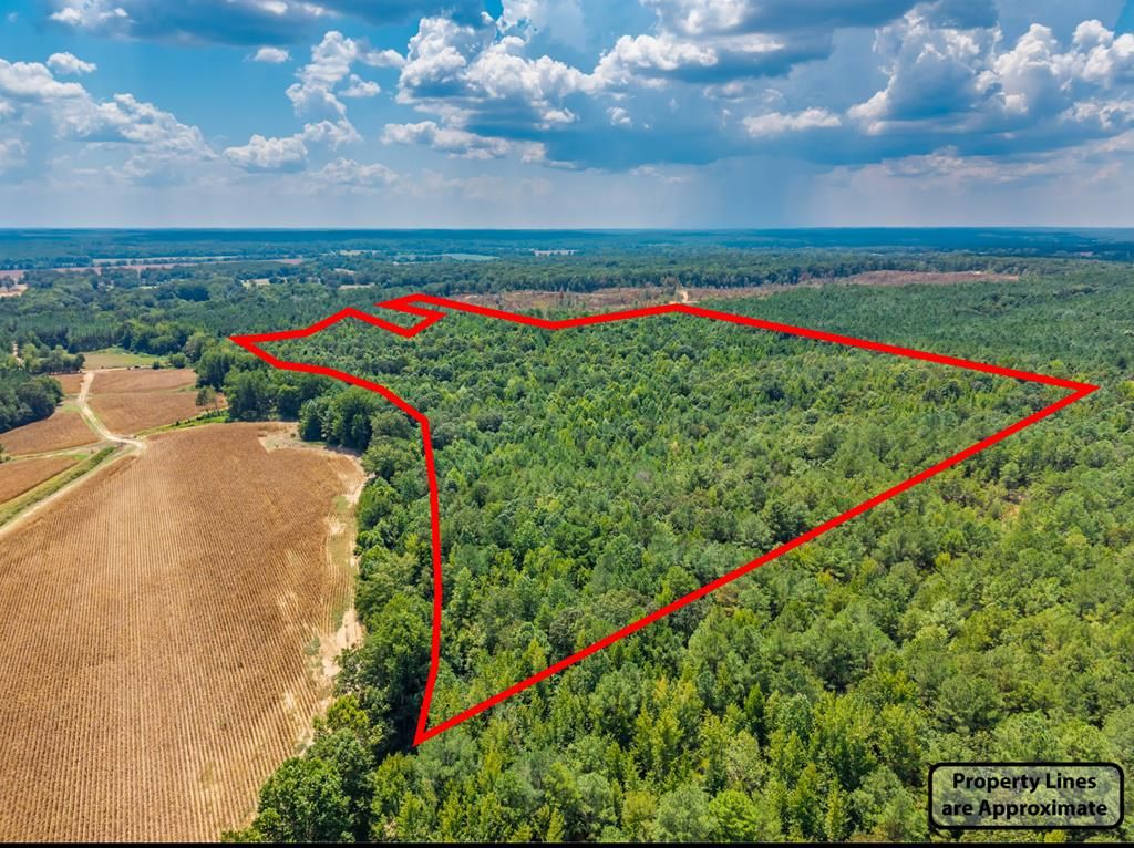 Photo of 000 Cr 118, WATER VALLEY, MS 38965 (MLS # 167163)