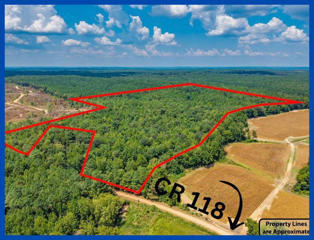 Photo of 000 Cr 118, WATER VALLEY, MS 38965 (MLS # 167163)