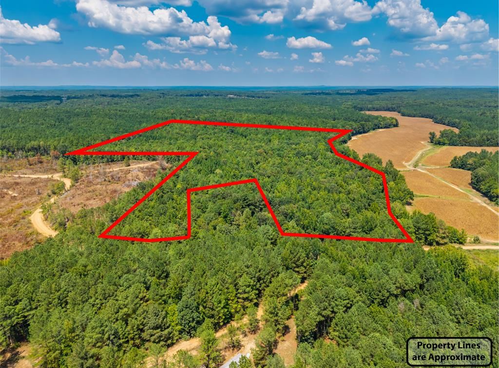 Photo of 000 Cr 118, WATER VALLEY, MS 38965 (MLS # 167163)