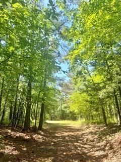 Photo of 40 Acres Cr 450 &amp; Cr 473 CIR, OXFORD, MS 38655 (MLS # 167459)