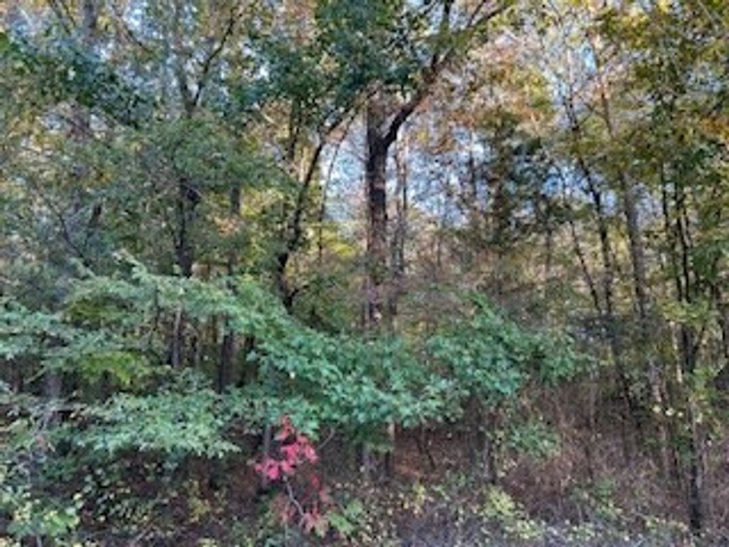 Photo of Tract 2 Hwy 9w,CR 369,, OXFORD, MS 38655 (MLS # 161980)