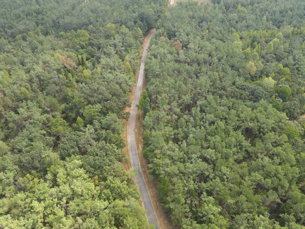 Photo of RIPLEY, MS 38863 (MLS # 168611)