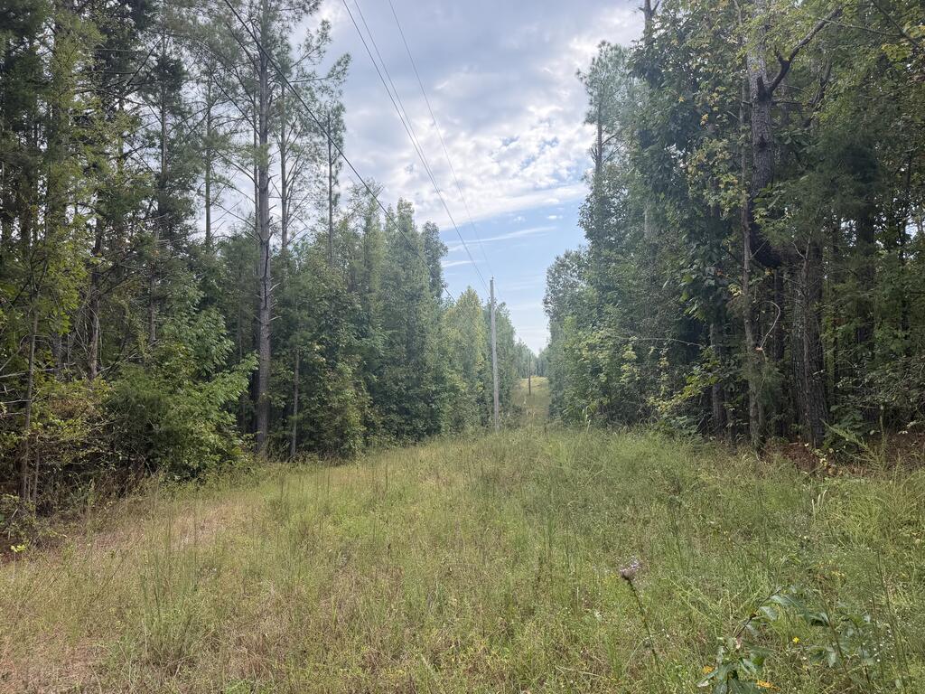 Photo of RIPLEY, MS 38863 (MLS # 168611)