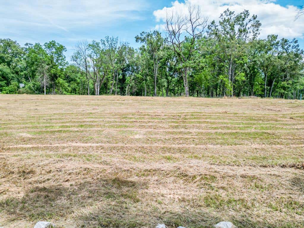 Photo of 703 Oxford Loop, NEW ALBANY, MS 38652 (MLS # 167660)