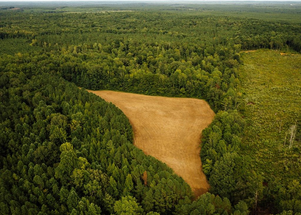 Photo of 0 County Road 499, OXFORD, MS 38655 (MLS # 161686)