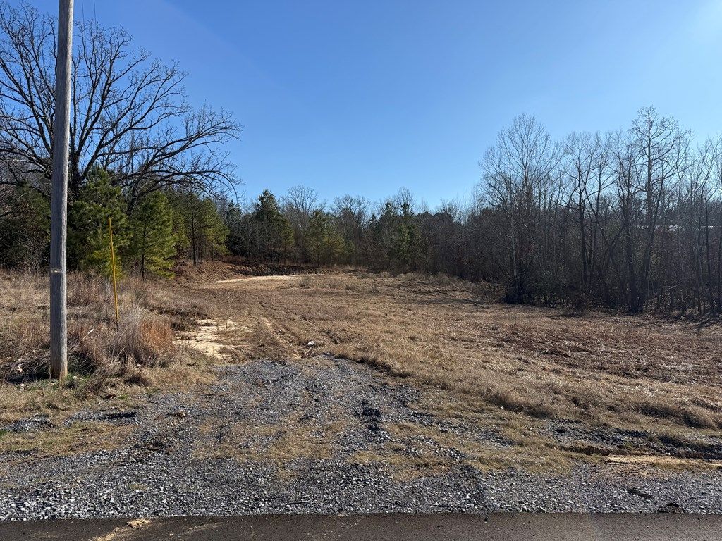 Photo of 00 Swan Lake Dr, COLDWATER, MS 38618 (MLS # 162318)