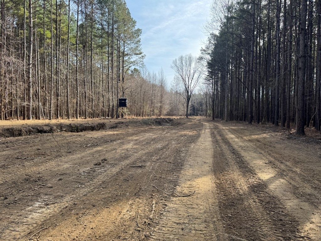 Photo of 00 County Road 311, CALHOUN CITY, MS 38916 (MLS # 164385)