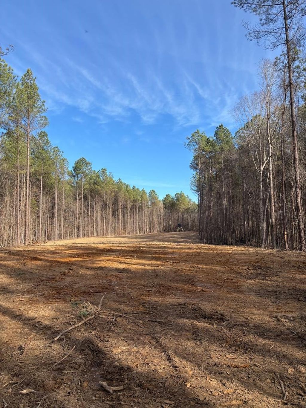 Photo of 00 County Road 311, CALHOUN CITY, MS 38916 (MLS # 164385)