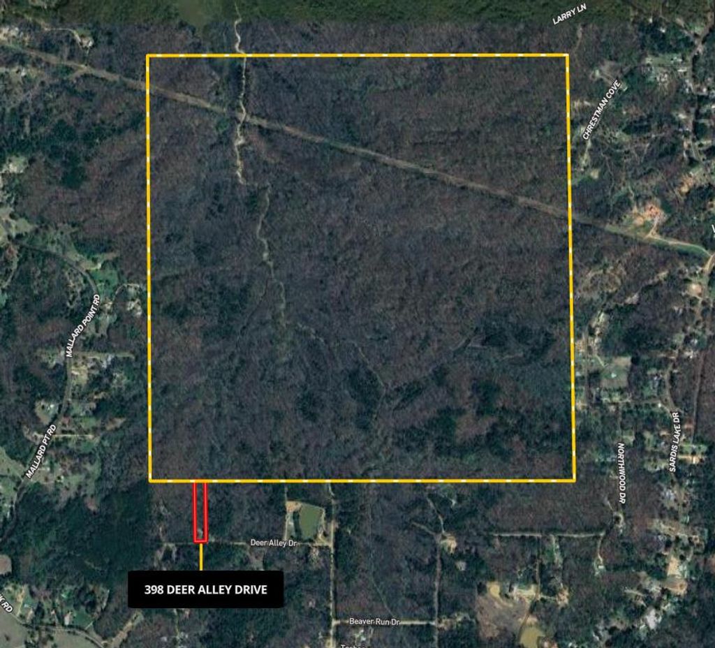 Photo of 398 Deer Alley Drive, BATESVILLE, MS 38606 (MLS # 162135)