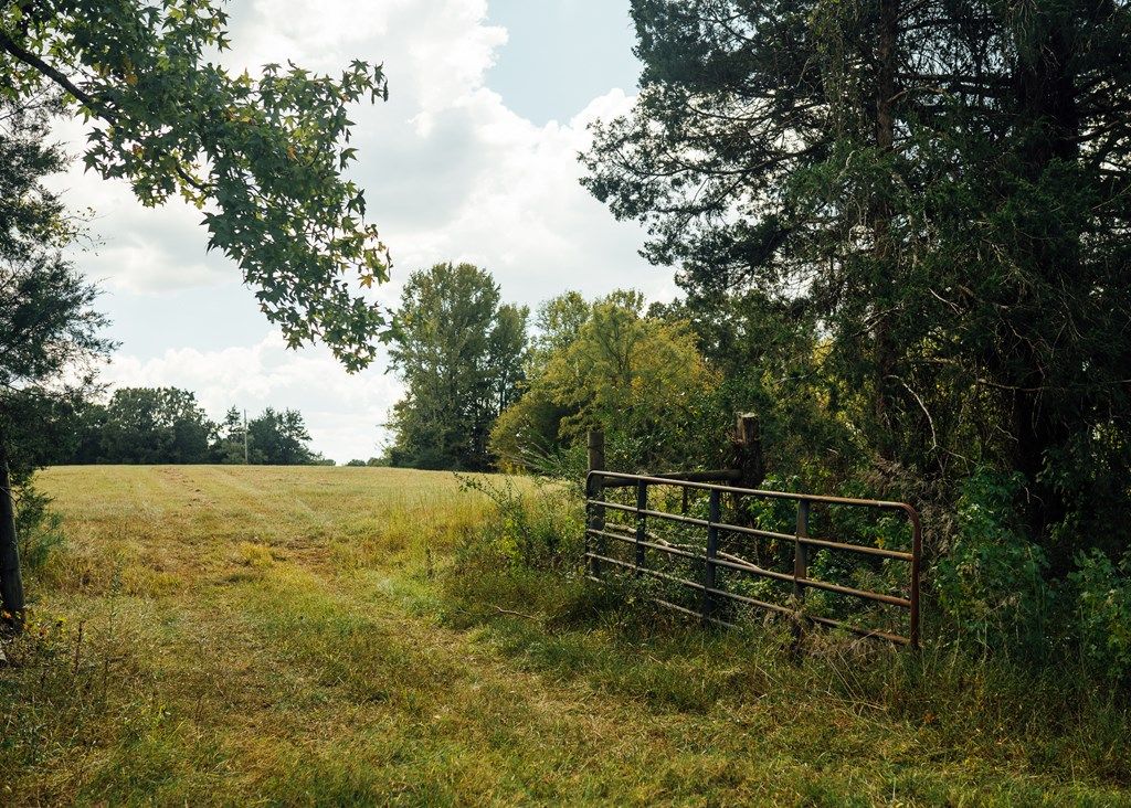 Photo of 00 Henderson Rd, BATESVILLE, MS 38606 (MLS # 161874)