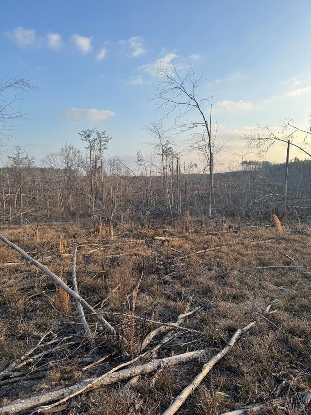 Photo of 00 County Road 82, COFFEEVILLE, MS 38922 (MLS # 164589)