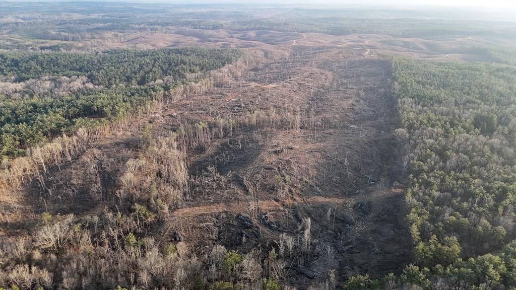 Photo of 00 County Road 82, COFFEEVILLE, MS 38922 (MLS # 164589)