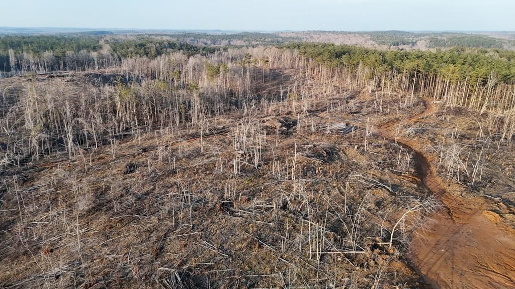 Photo of 00 County Road 82, COFFEEVILLE, MS 38922 (MLS # 164589)