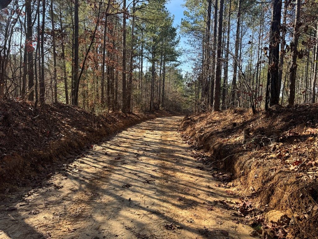 Photo of 00 Cr 463, OXFORD, MS 38655 (MLS # 162296)