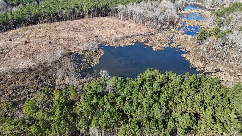 Photo of 00 Cr 463, OXFORD, MS 38655 (MLS # 162296)