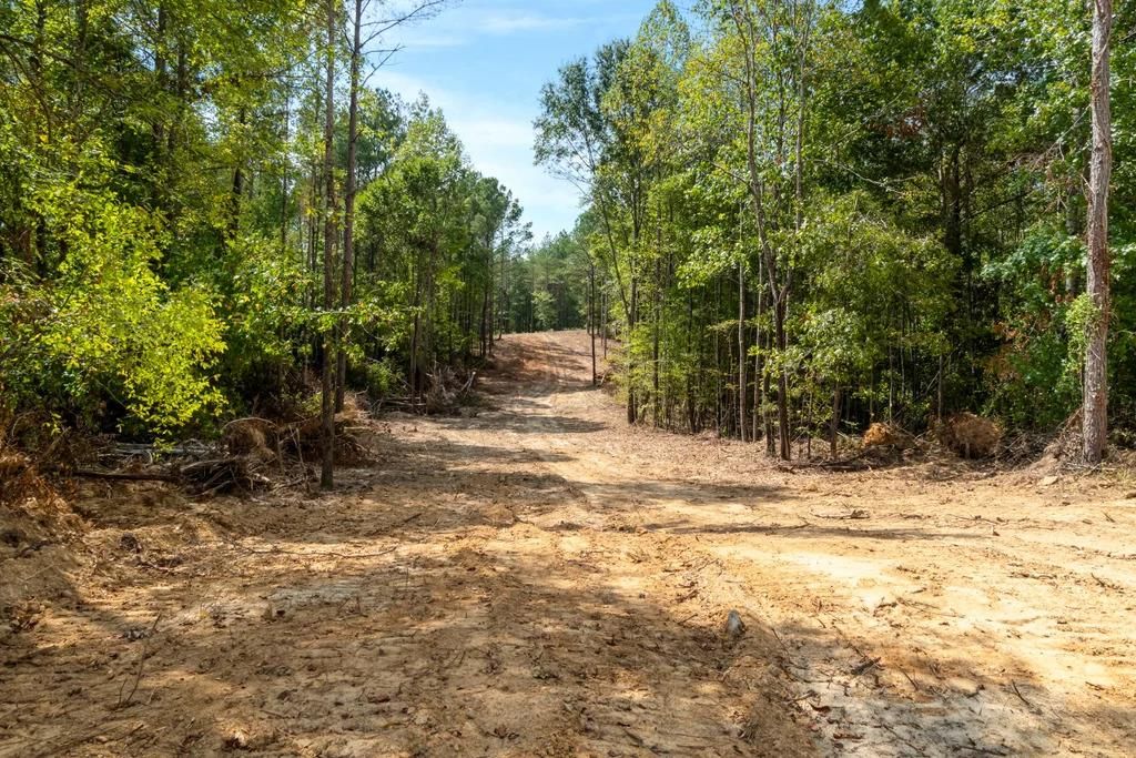 Photo of TBD Cr 430 (Lafayette County), PARIS, MS 38949 (MLS # 161673)