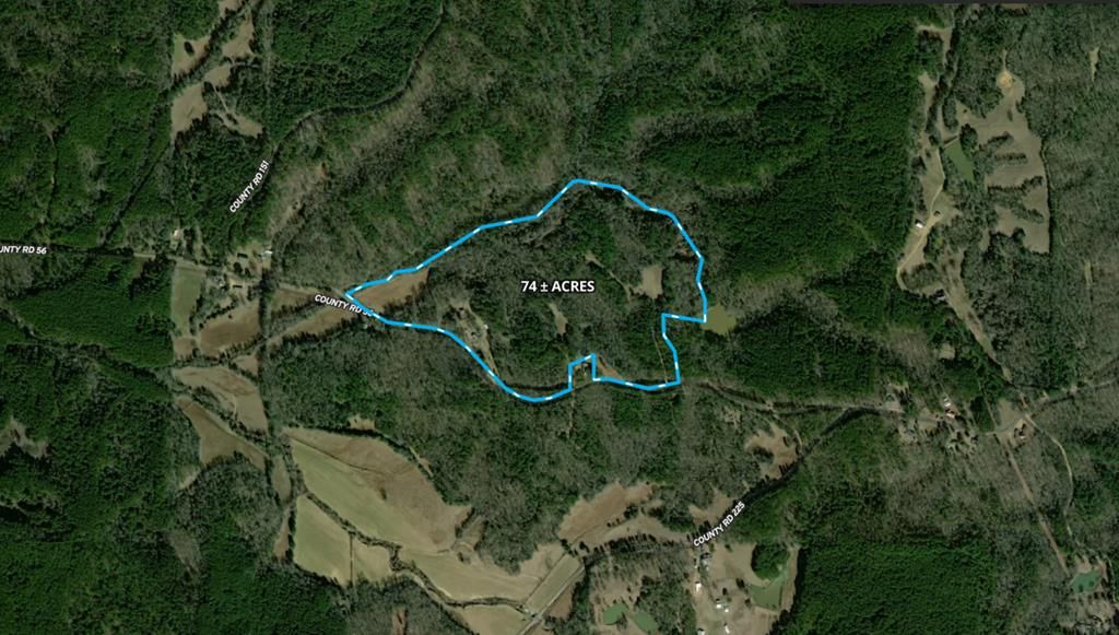Photo of 681 County Road 56, WATER VALLEY, MS 38965 (MLS # 167305)