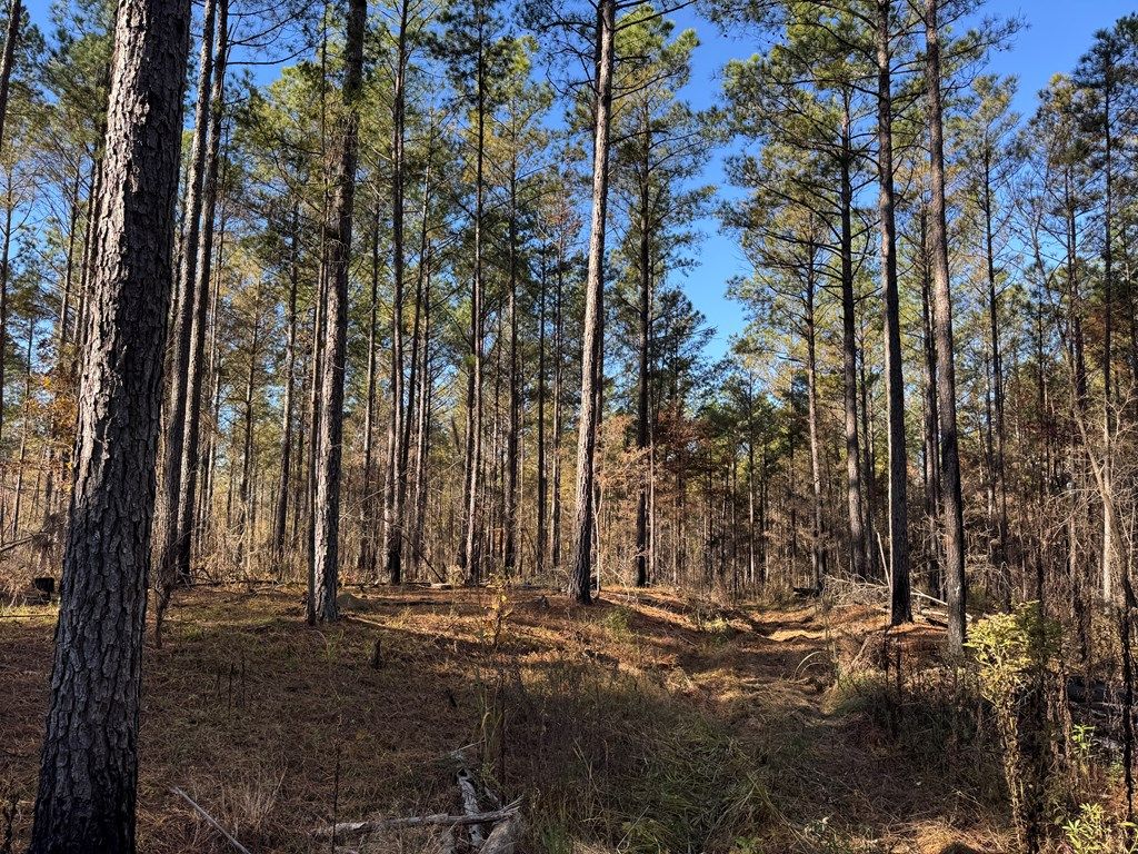 Photo of 00 Hwy 9, BRUCE, MS 38915 (MLS # 162140)