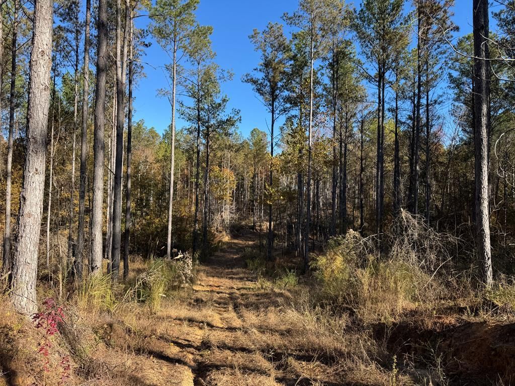 Photo of 00 Hwy 9, BRUCE, MS 38915 (MLS # 162140)
