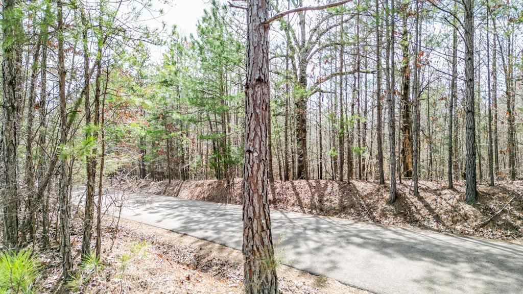Photo of TBD Cr 277, OXFORD, MS 38655 (MLS # 162187)