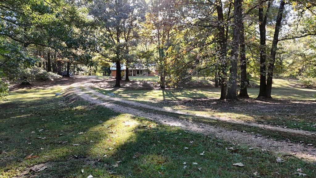 Photo of 146 Cr 121, CARROLLTON, MS 38917 (MLS # 162030)