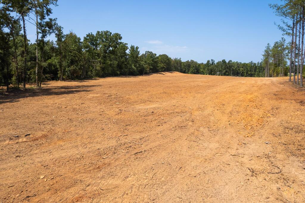 Photo of THAXTON, MS 38871 (MLS # 168251)