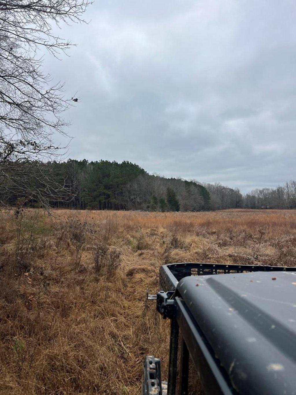 Photo of 0 County road 151a, RANDOLPH, MS 38864 (MLS # 162194)