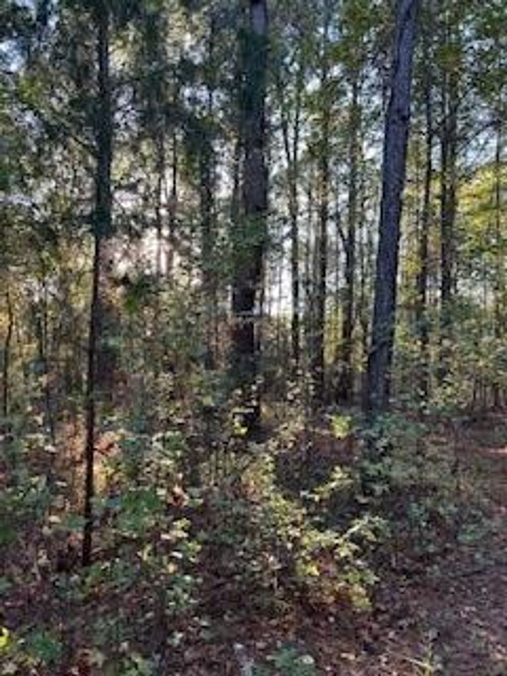 Photo of Tract 7 Cr 372, OXFORD, MS 38655 (MLS # 161983)