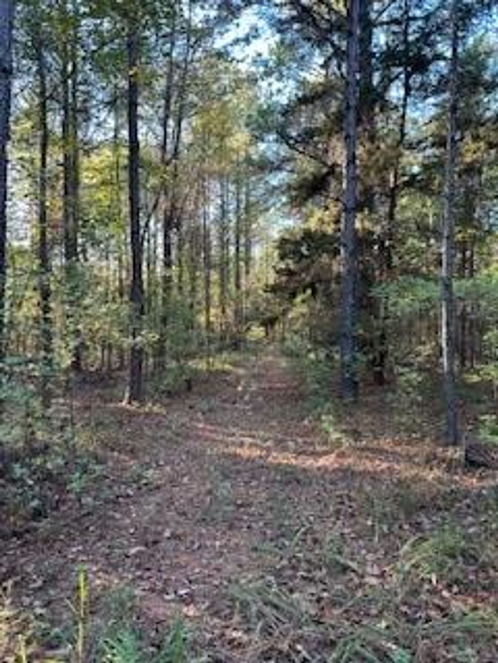 Photo of Tract 7 Cr 372, OXFORD, MS 38655 (MLS # 161983)