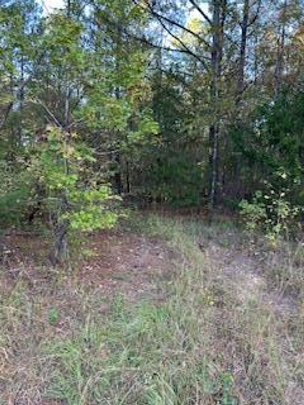 Photo of Tract 7 Cr 372, OXFORD, MS 38655 (MLS # 161983)