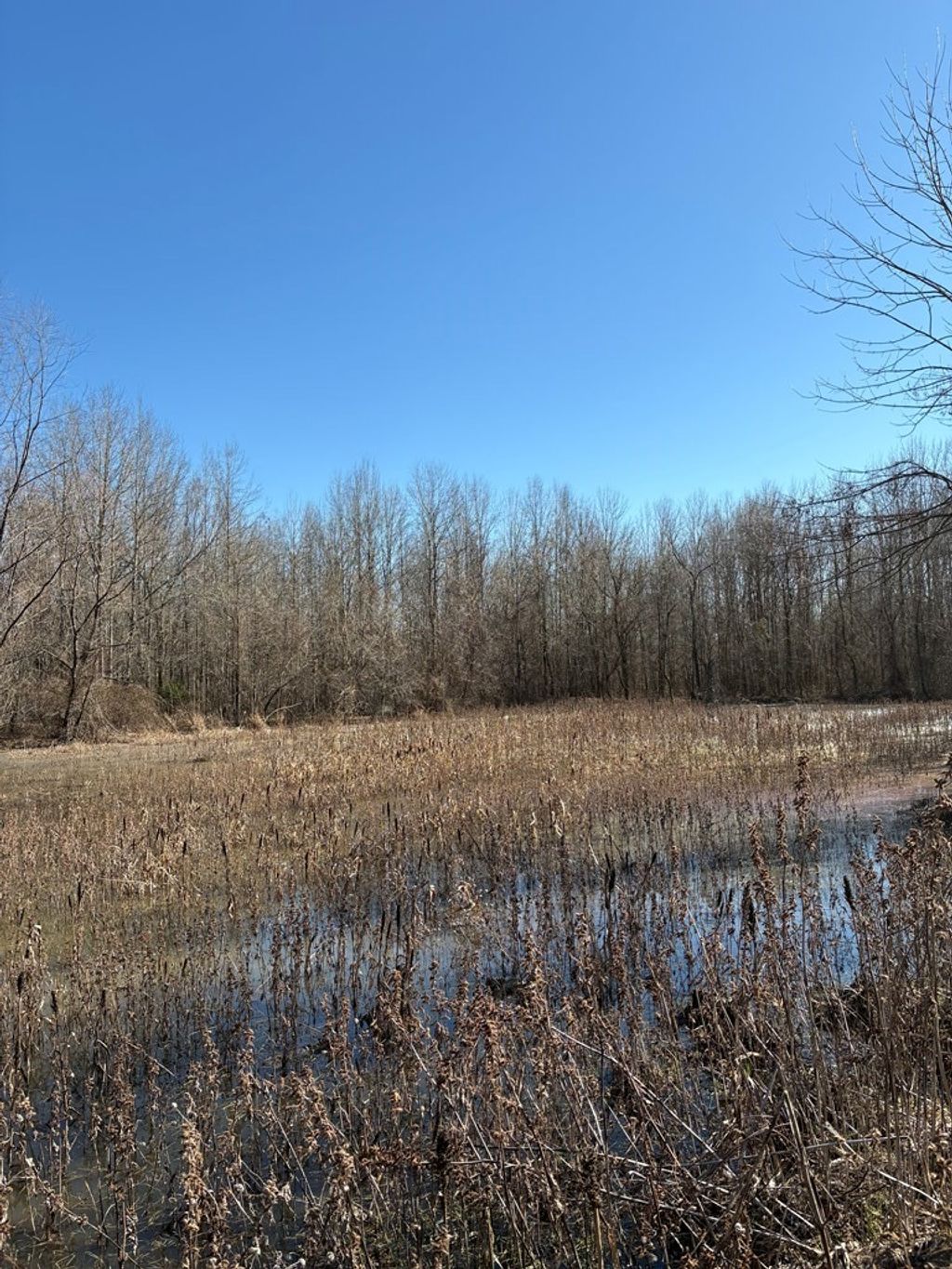 Photo of 00 County Road 409, HOULKA, MS 38850 (MLS # 164640)