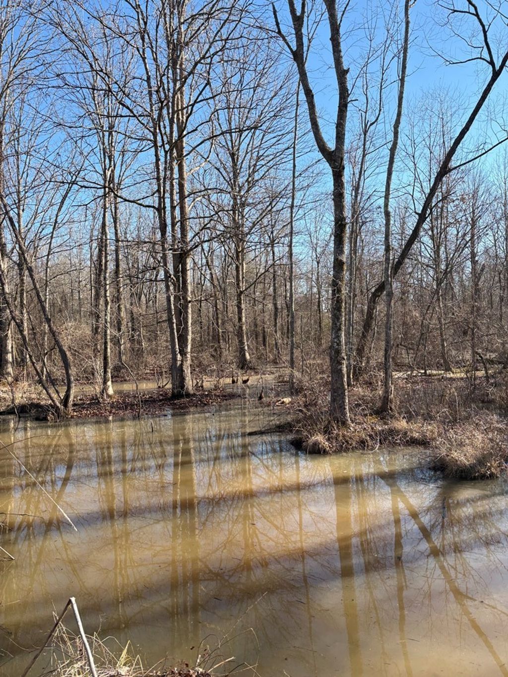 Photo of 00 County Road 409, HOULKA, MS 38850 (MLS # 164640)