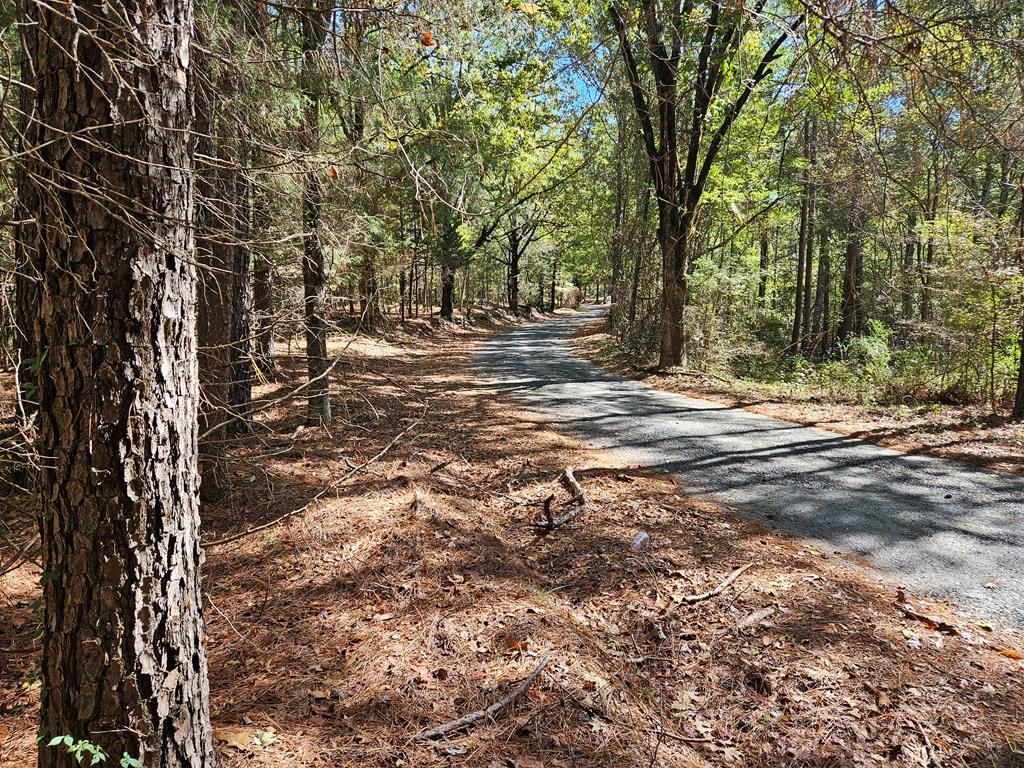 Photo of tbd Ales Rd, BATESVILLE, MS 38606 (MLS # 161893)