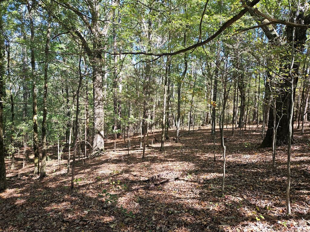 Photo of tbd Ales Rd, BATESVILLE, MS 38606 (MLS # 161893)