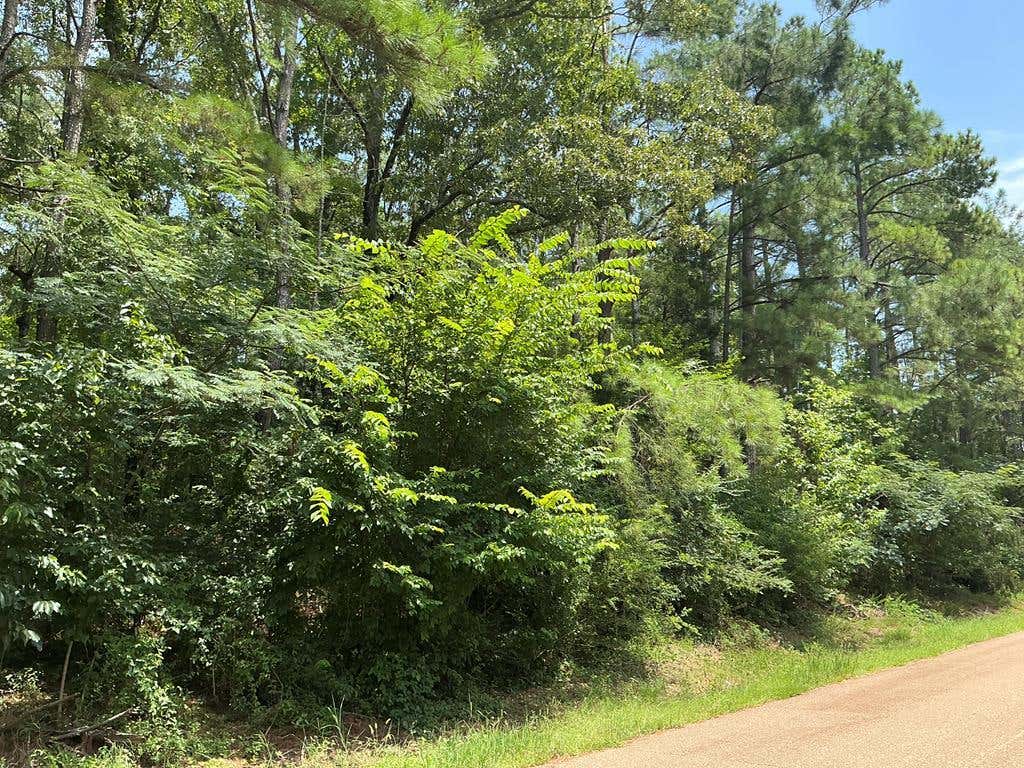 Photo of OXFORD, MS 38655 (MLS # 168021)